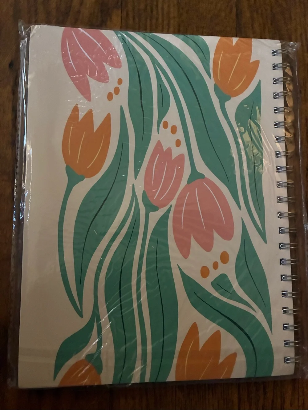 The Bible in a Year Spiral Journal - Floral White, Green & Orange